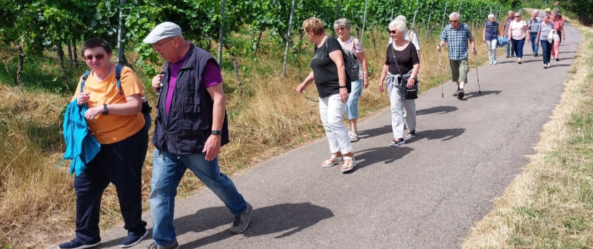Schwäbischer Albverein | Ortsgruppe Hohenacker