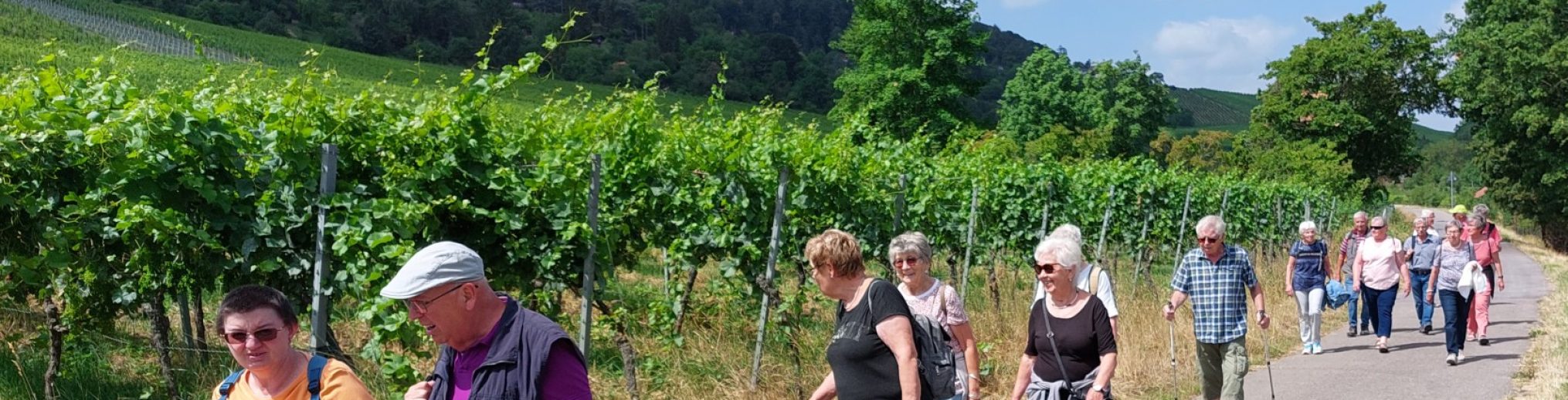 Schwäbischer Albverein | Ortsgruppe Hohenacker