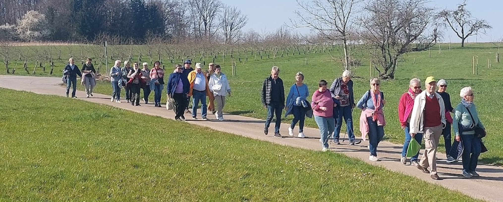 Schwäbischer Albverein | Ortsgruppe Hohenacker